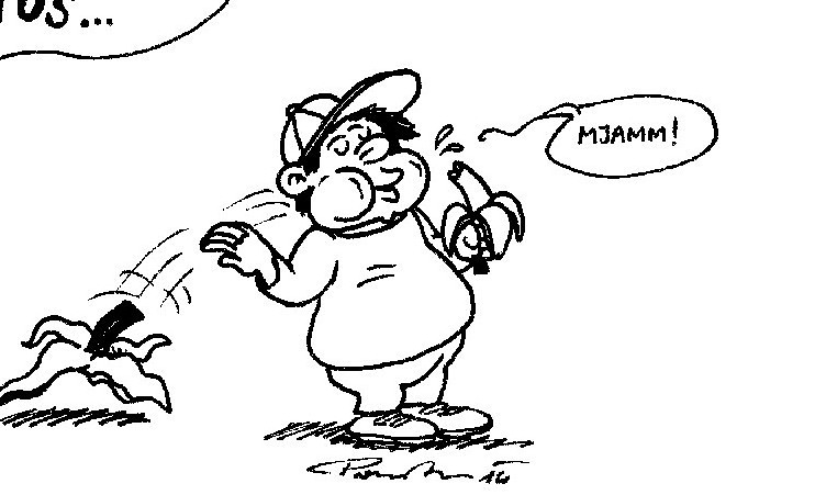 Karikatur / Foto: Josef Promitzer Karikatur